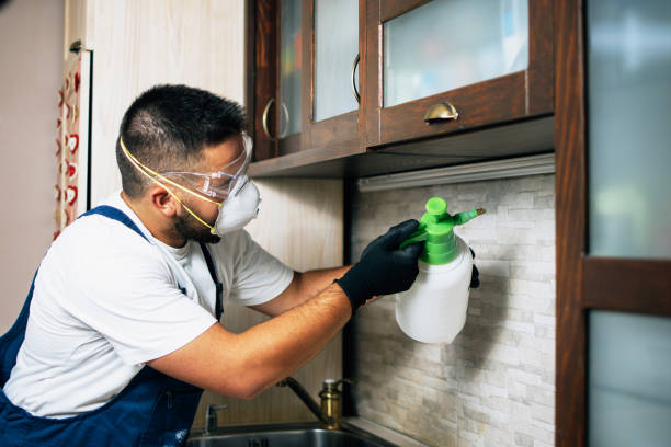  Hector, MN Pest Control Pros