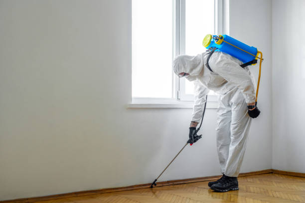 Best Pest Control Near Me  in Hector, MN