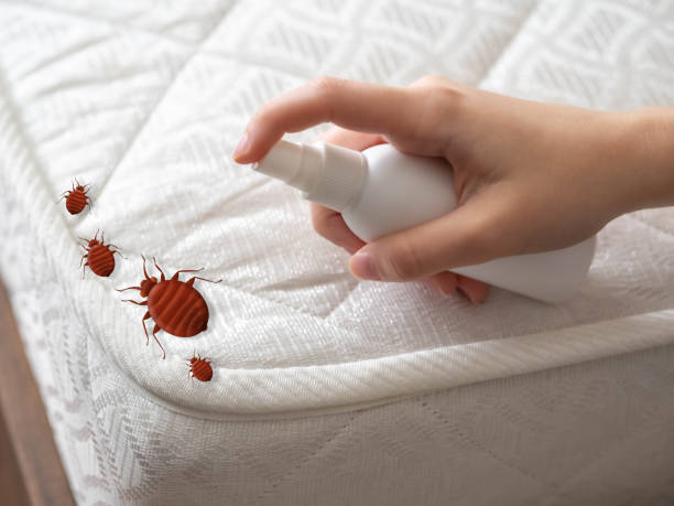 Best Best Pest Control Companies  in Hector, MN