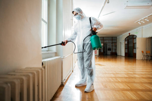 Best Commercial Pest Control Services  in Hector, MN